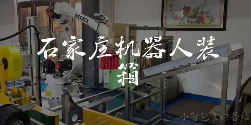 石家庄机器人装箱:石家庄机器人装箱产业的发展现状如何？